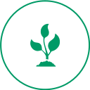 Bioenergy