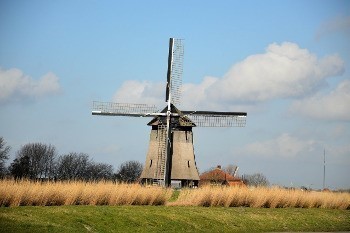 WindMill